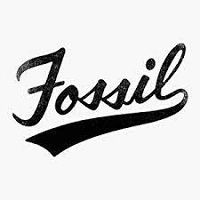 Fossil AU screenshot