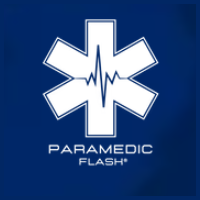 Paramedic Flash screenshot