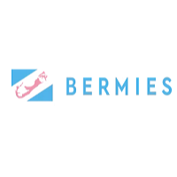 Bermies screenshot