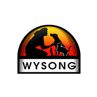 Wysong screenshot